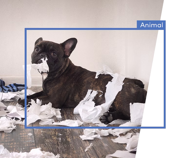PublicSite_Resi_Video_Q123_Alternator2_750x650